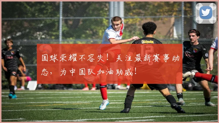 国球荣耀不容失!关注最新赛事动态,为中国队加油助威!