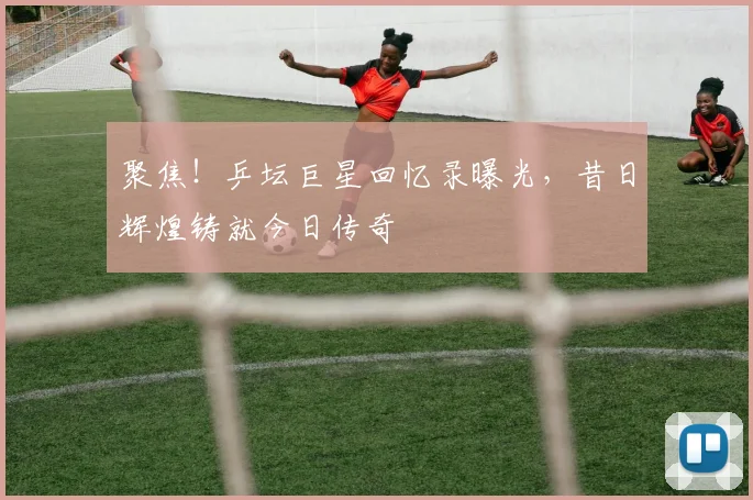 聚焦！乒坛巨星回忆录曝光，昔日辉煌铸就今日传奇