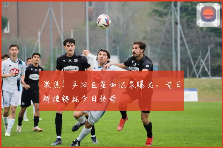 聚焦!乒坛巨星回忆录曝光,昔日辉煌铸就今日传奇
